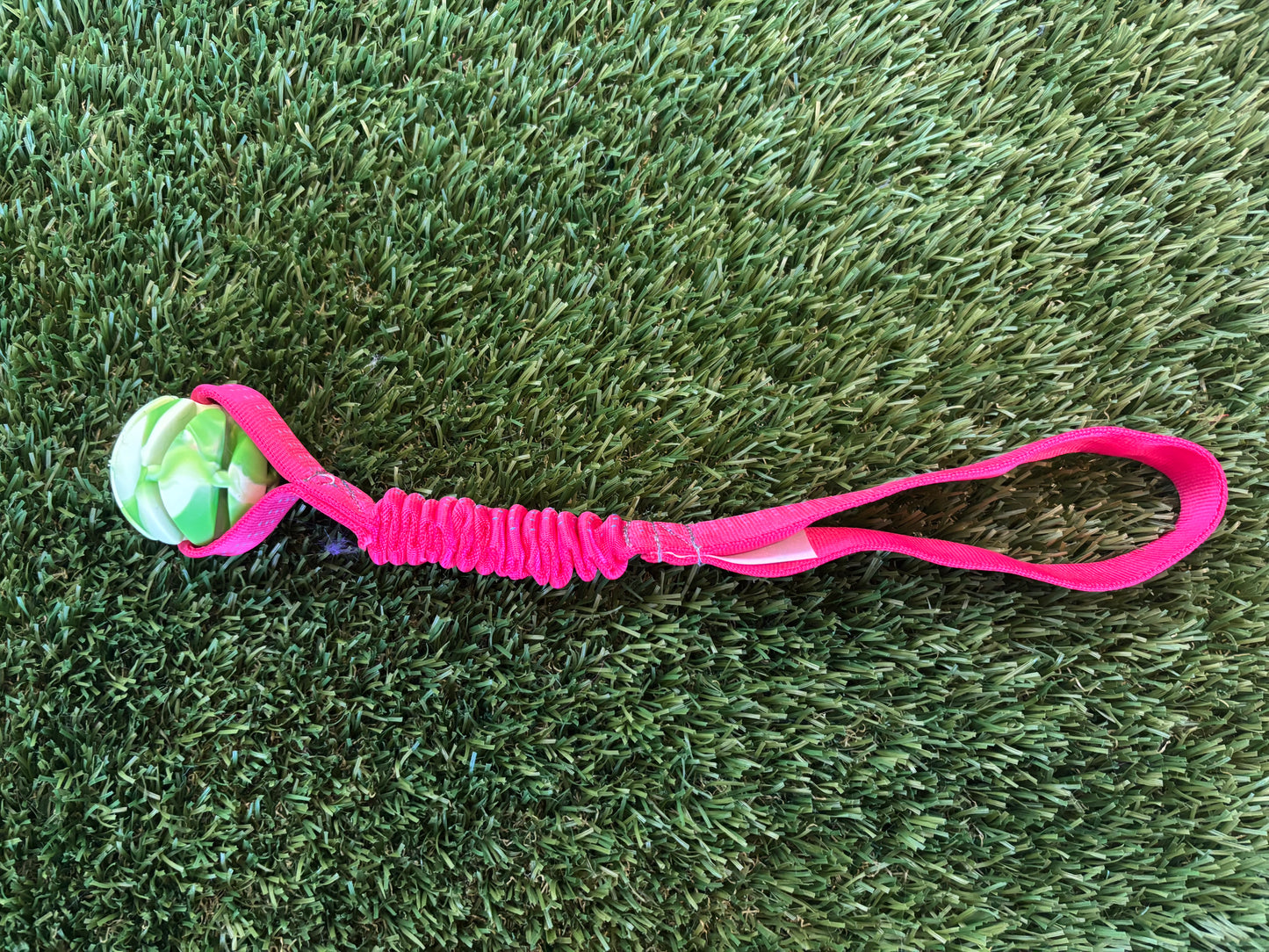 Throwback Bungee
