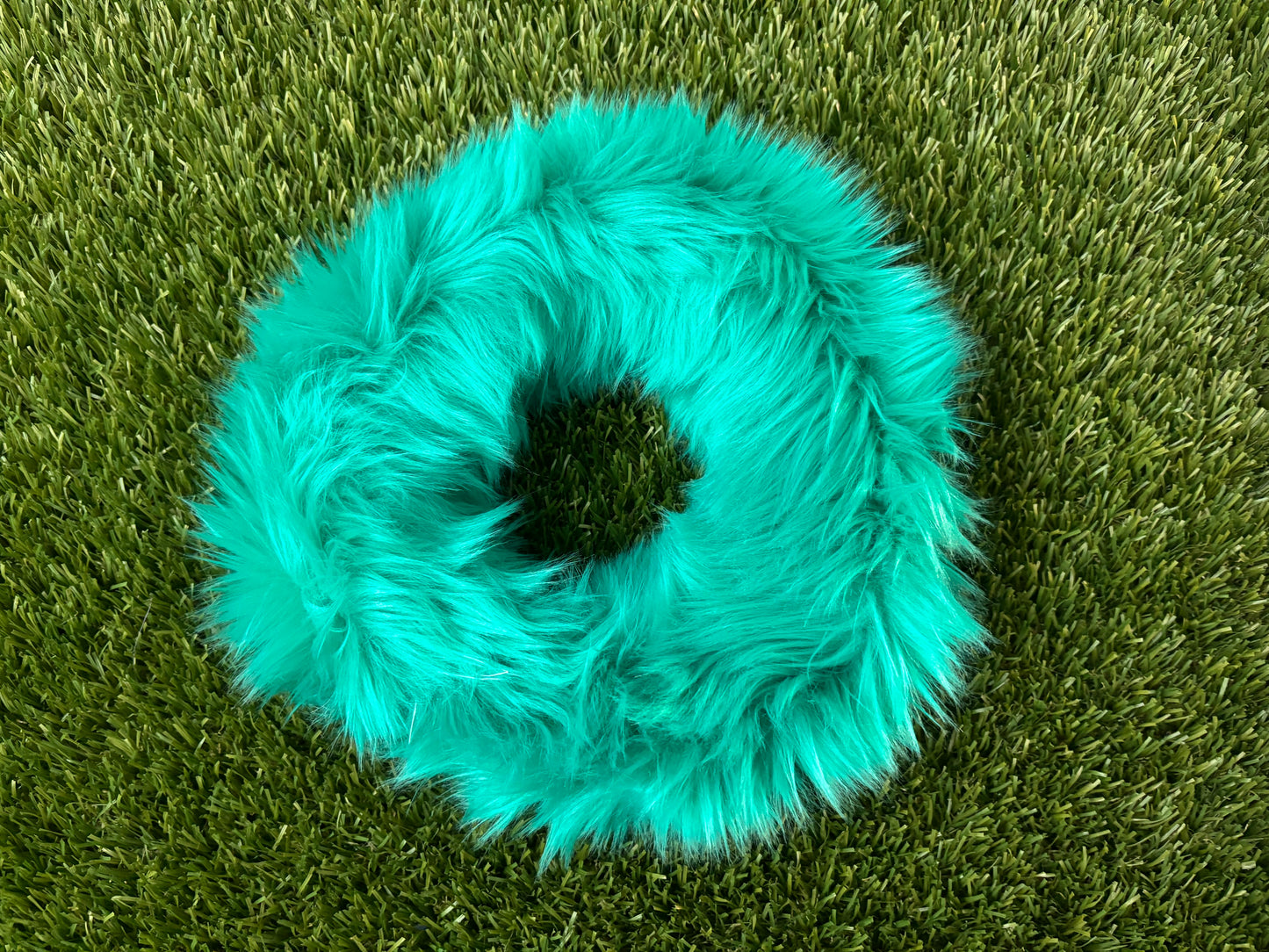 Caterpillar Circle