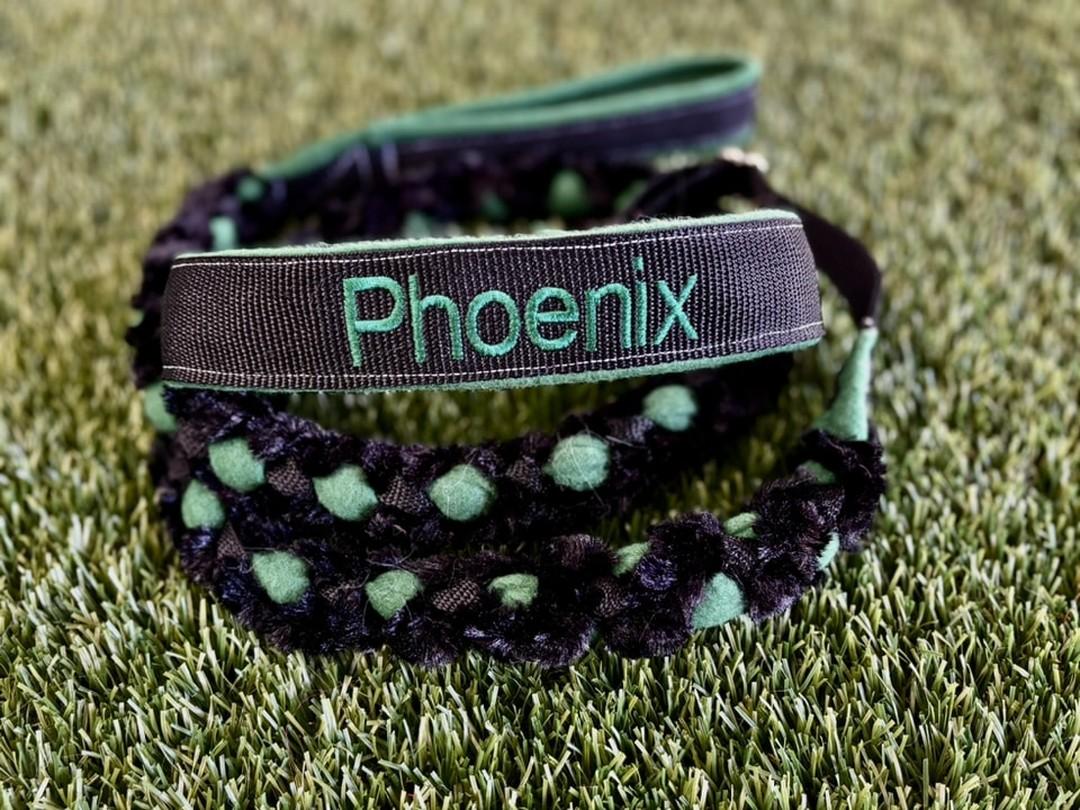 Minky Martingale Leash