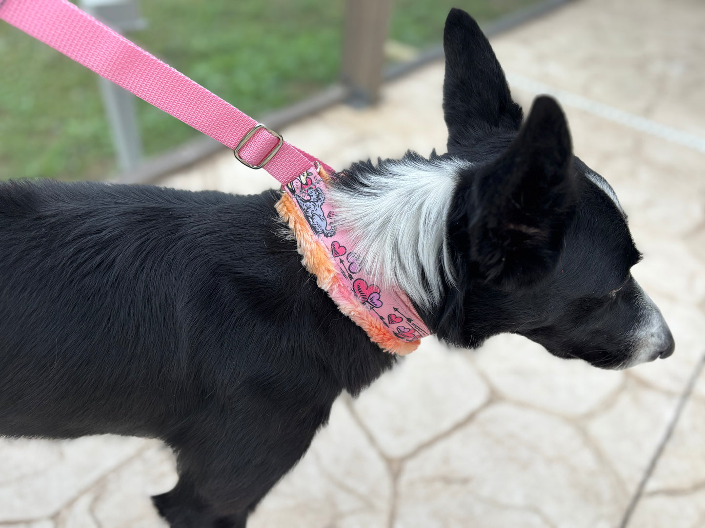 Slide Martingale Collar