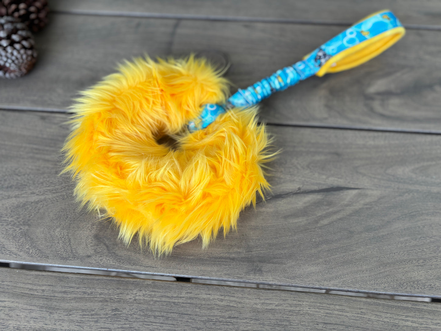 Circle Bungee