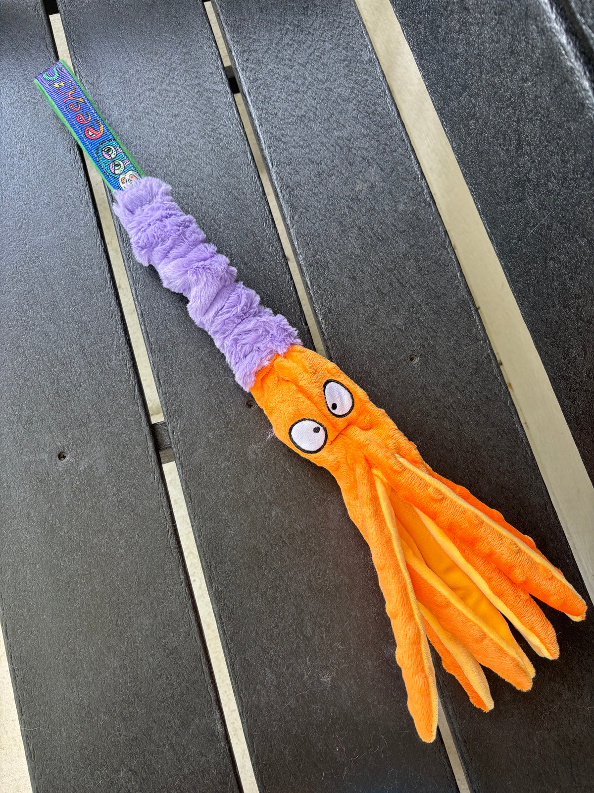 Seasonal Oswald Caterpillar Bungee