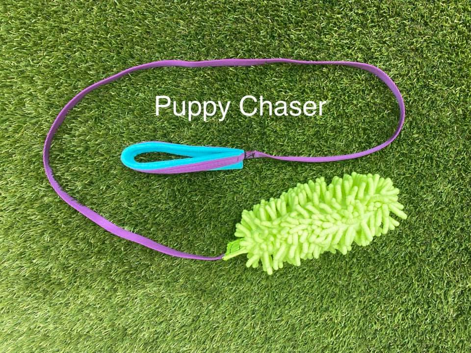 Puppy Chaser