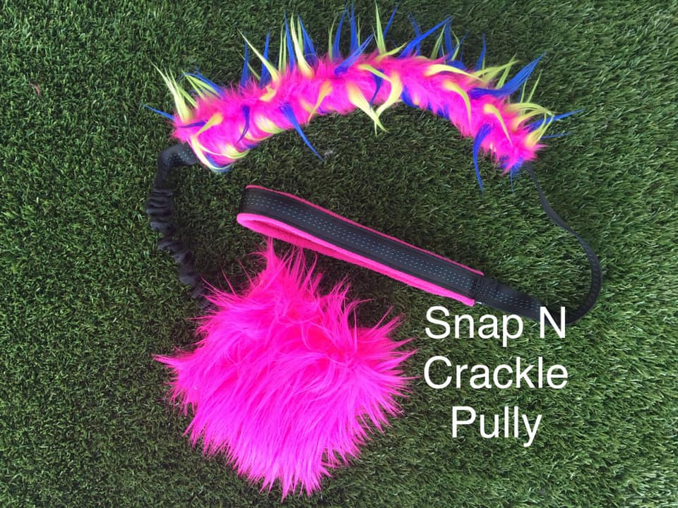 Snap N Crackle Pully