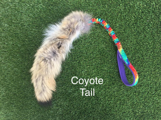 Coyote Tail Bungee