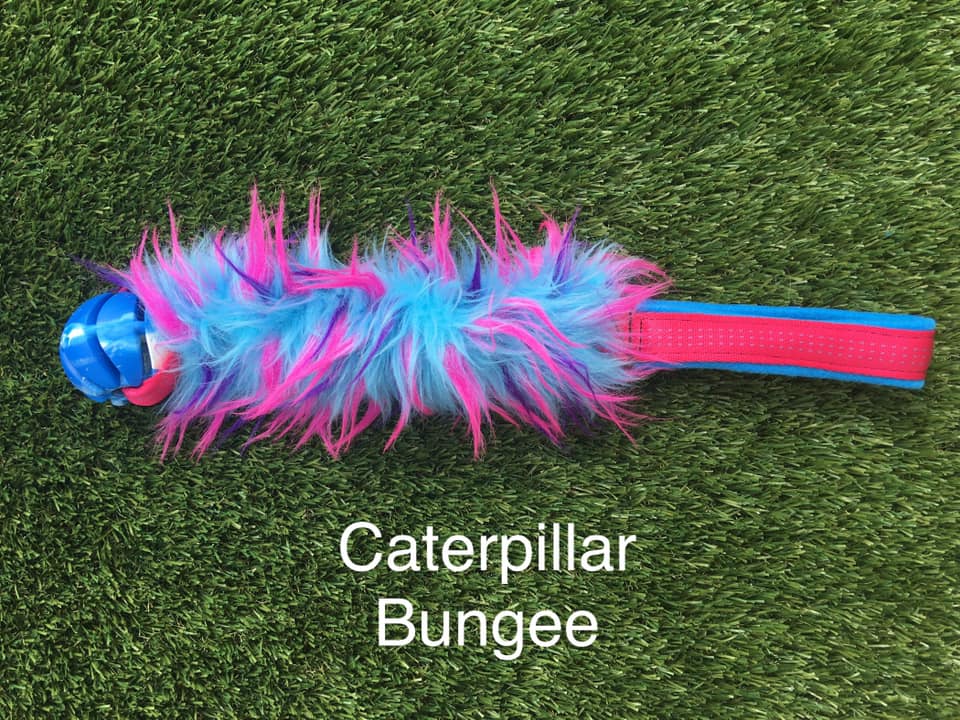 Caterpillar Bungee