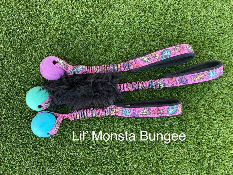 Lil' Monsta Bungee