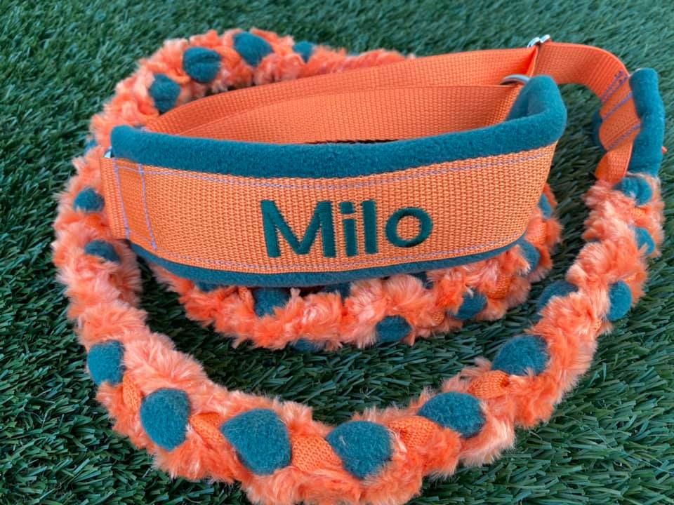 Minky Martingale Leash