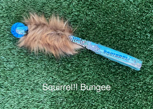 Squirrel! Bungee