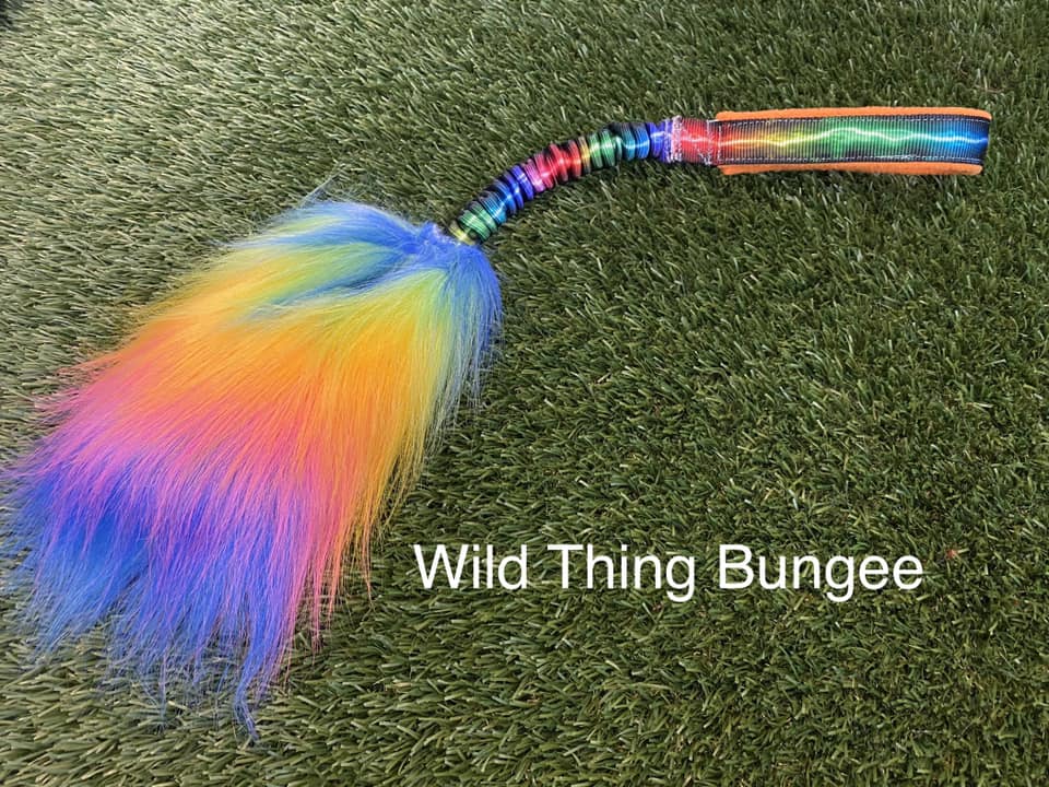 Wild Thing Bungee