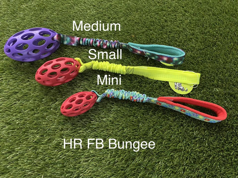 HR FB Bungee