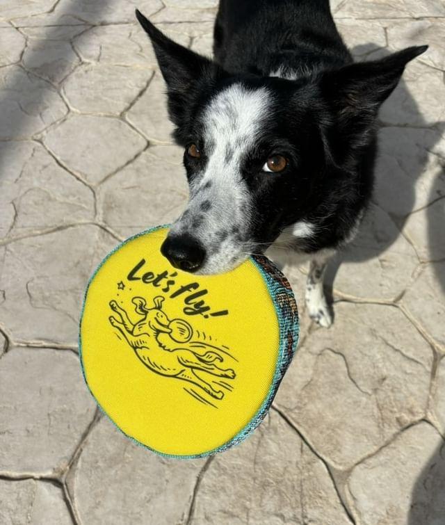 Let's Fly Discs