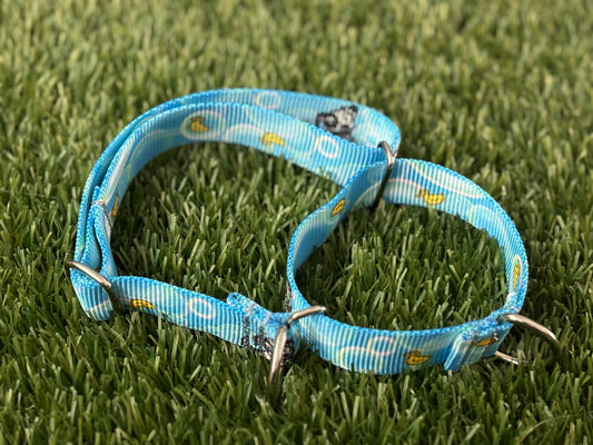 Adjustable Martingale Collar