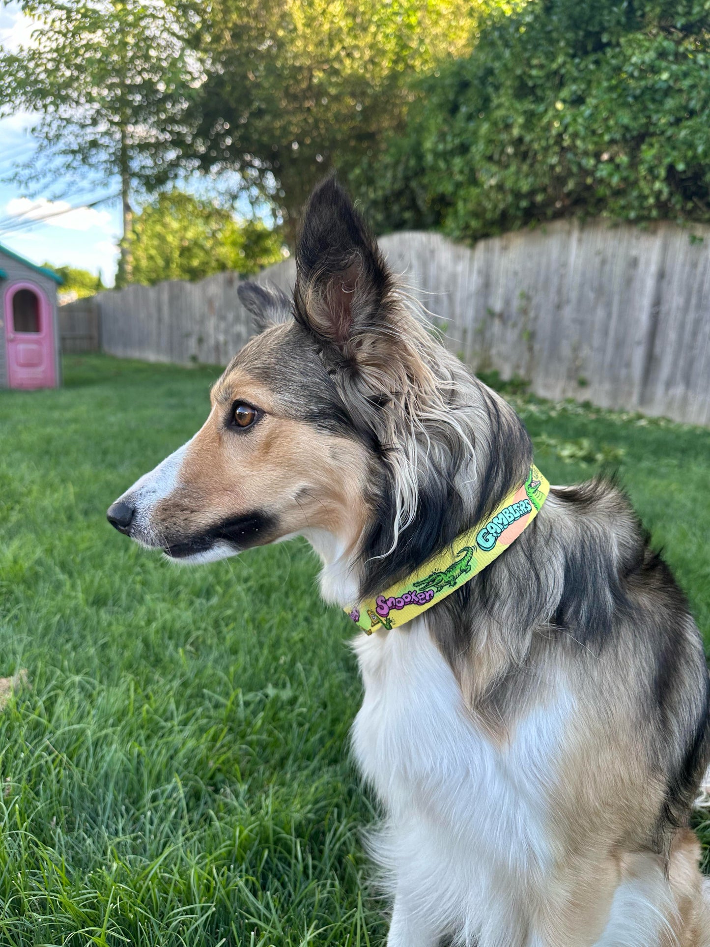 Adjustable Martingale Collar