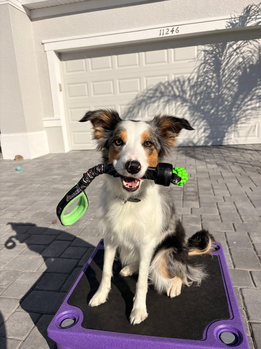 HOH Ball Milker Bungee