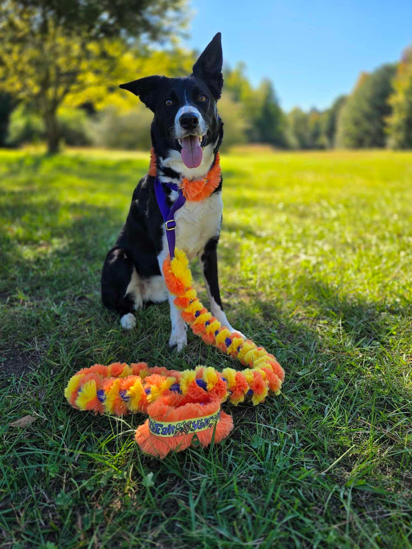 Custom TB Plush Martingale