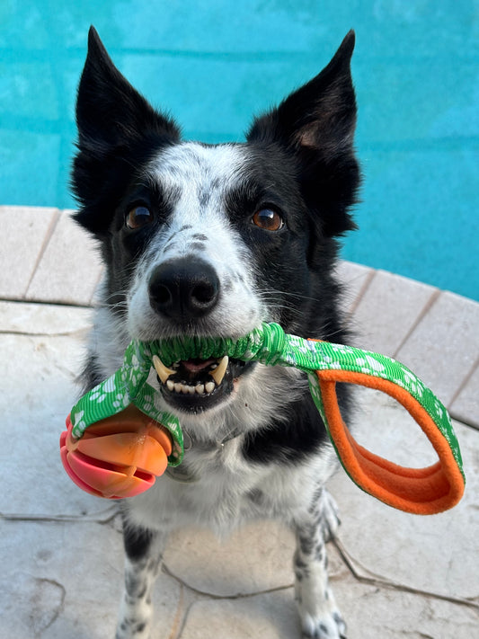 Free Ball Bungee Tug