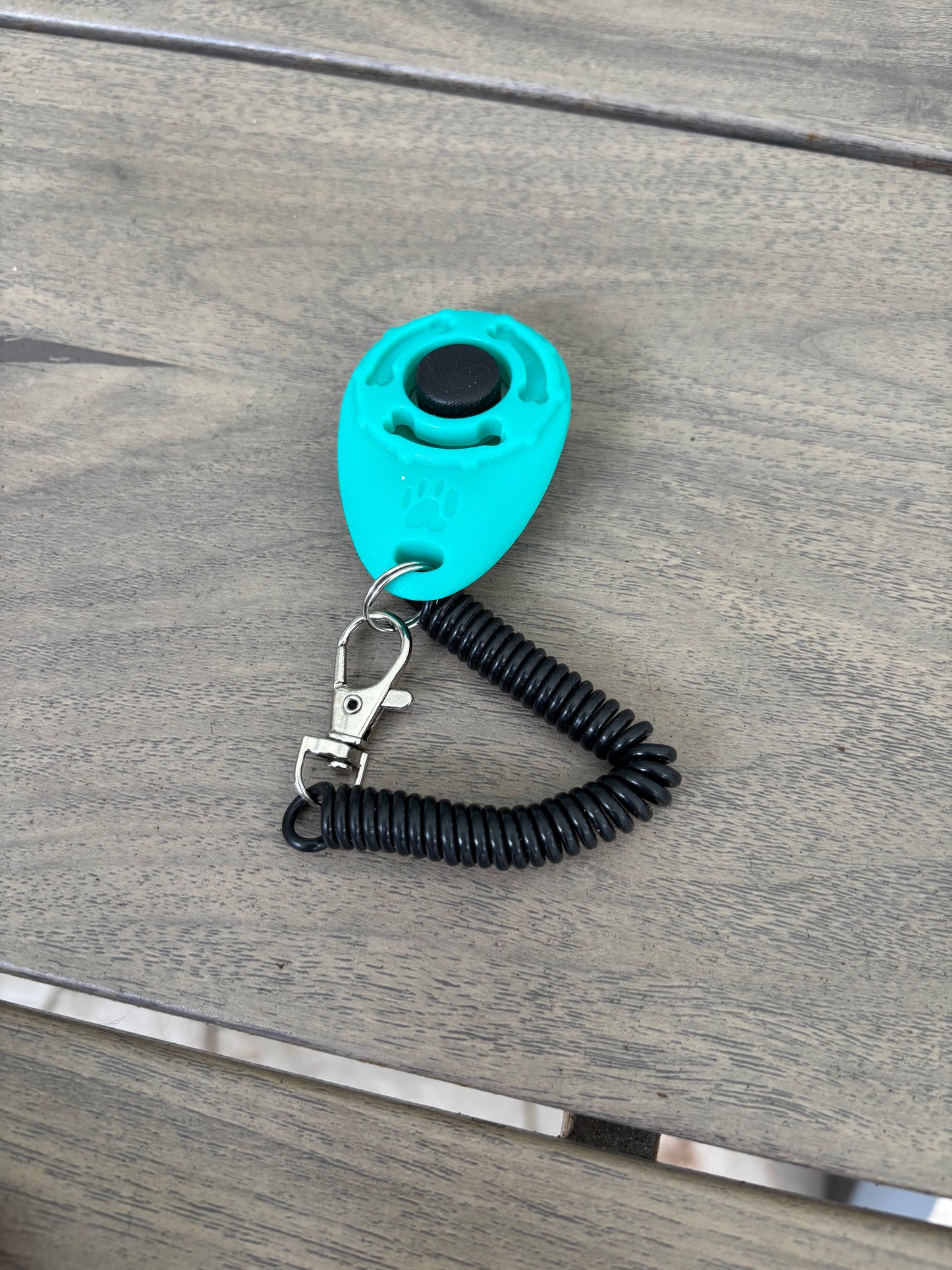 Training Clickers (Coming Soon)