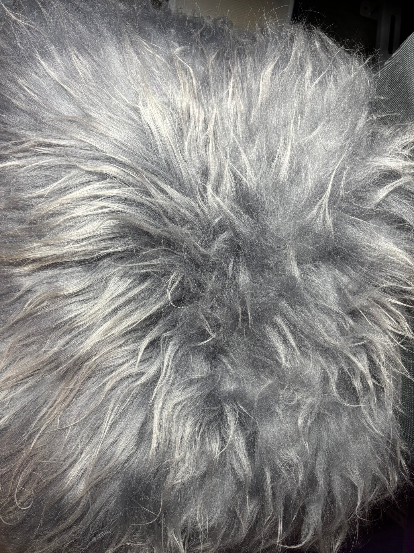 Fluffy Sheepy Bungee