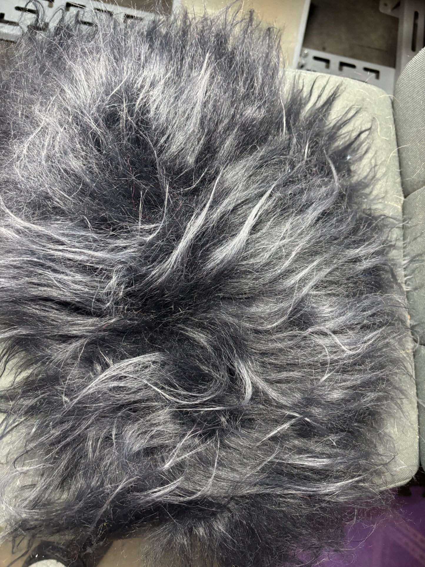 Fluffy Sheepy Bungee