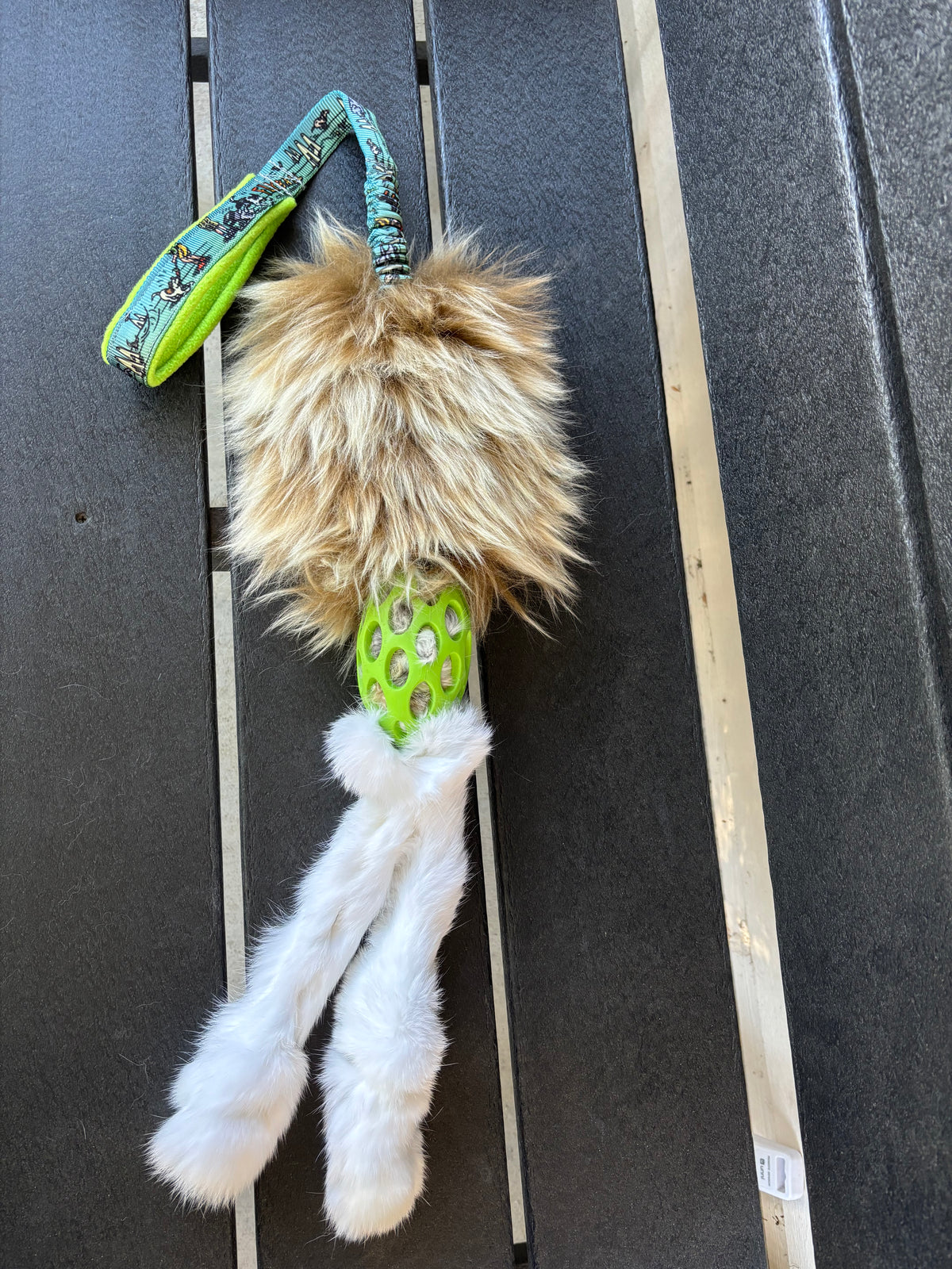 RTS Flyball Bad Bunny!