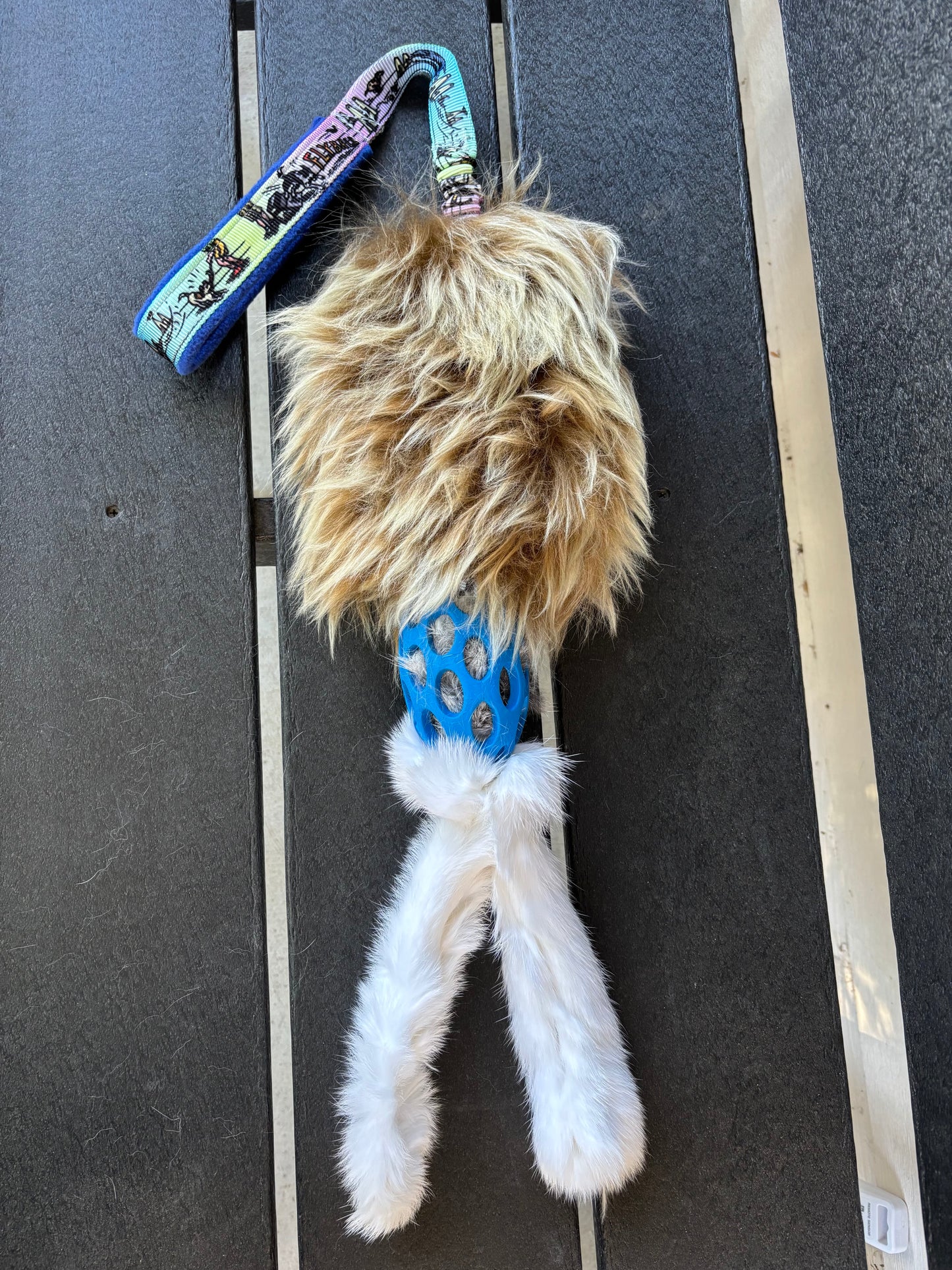 RTS Flyball Bad Bunny!