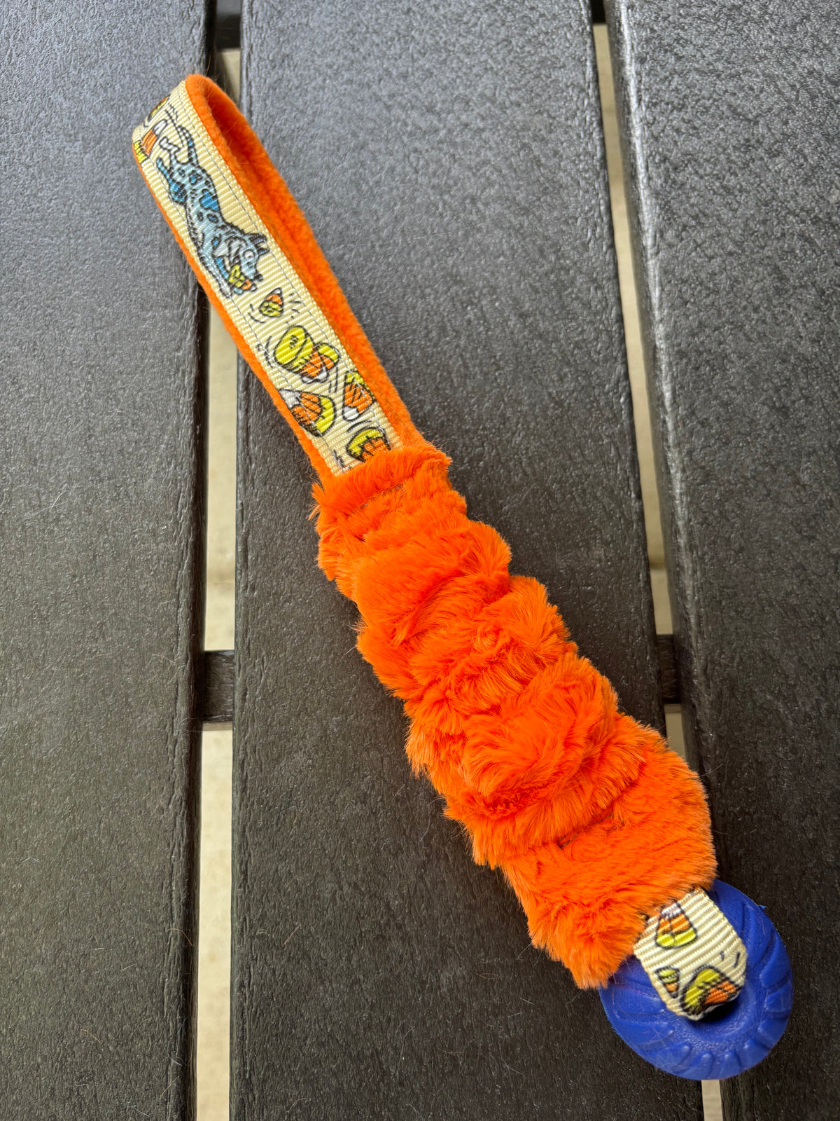 Seasonal Fancy Caterpillar Bungee