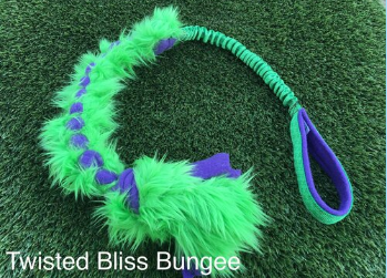 Twisted Bliss Bungee